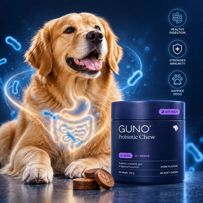 GUNO® Probiotic Chews for Dogs
