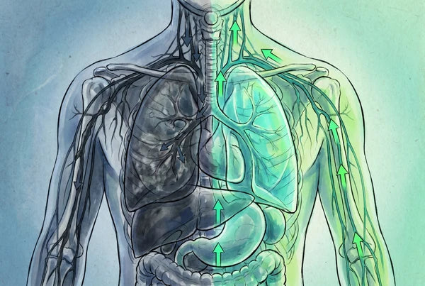 NAC respiratory support diagram